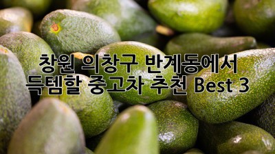 창원 의창구 반계동에서 득템할 중고차 추천 Best 3 🚗💨